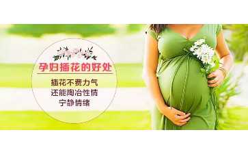 试管婴儿哪家医院的成功率高？-供卵价格
