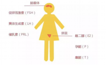 国内私人代生机构,太原试管婴儿医院哪家比较好？附试管婴儿排名榜