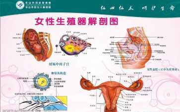 国内代怀机构,2025潍坊三代试管婴儿生孩子价格一览表，内附具体报销流程